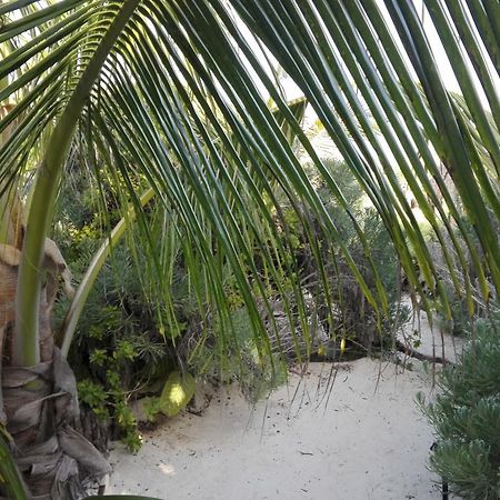 Eco Lodge Hotel Villa Tulum Eksteriør billede